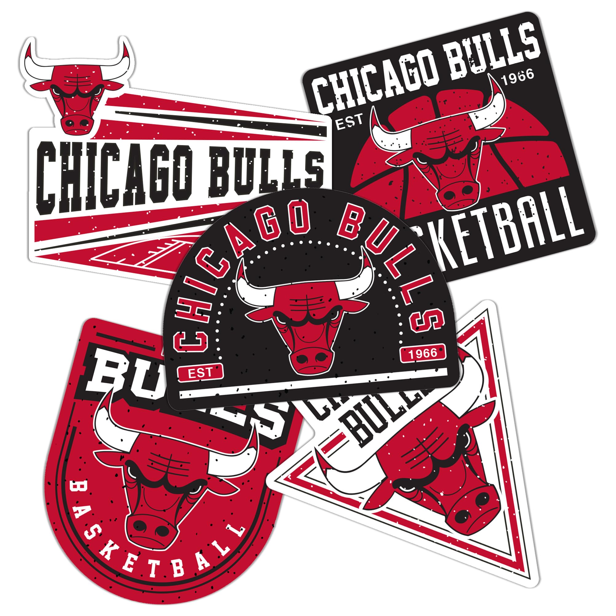 Amazon.com: Desert Cactus Chicago Bulls NBA Officially Licensed