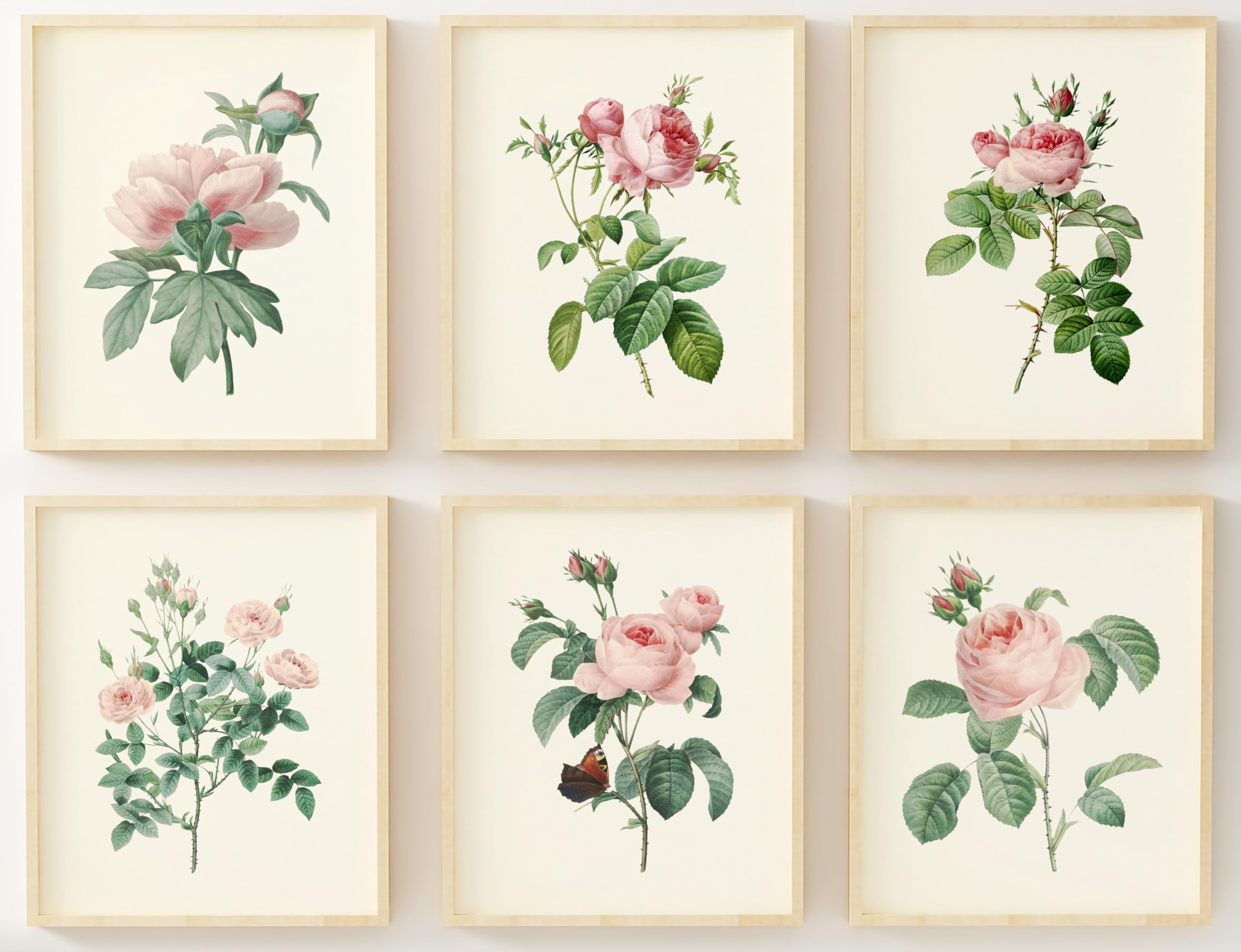 Prints Made Perfect Vintage Pink Roses