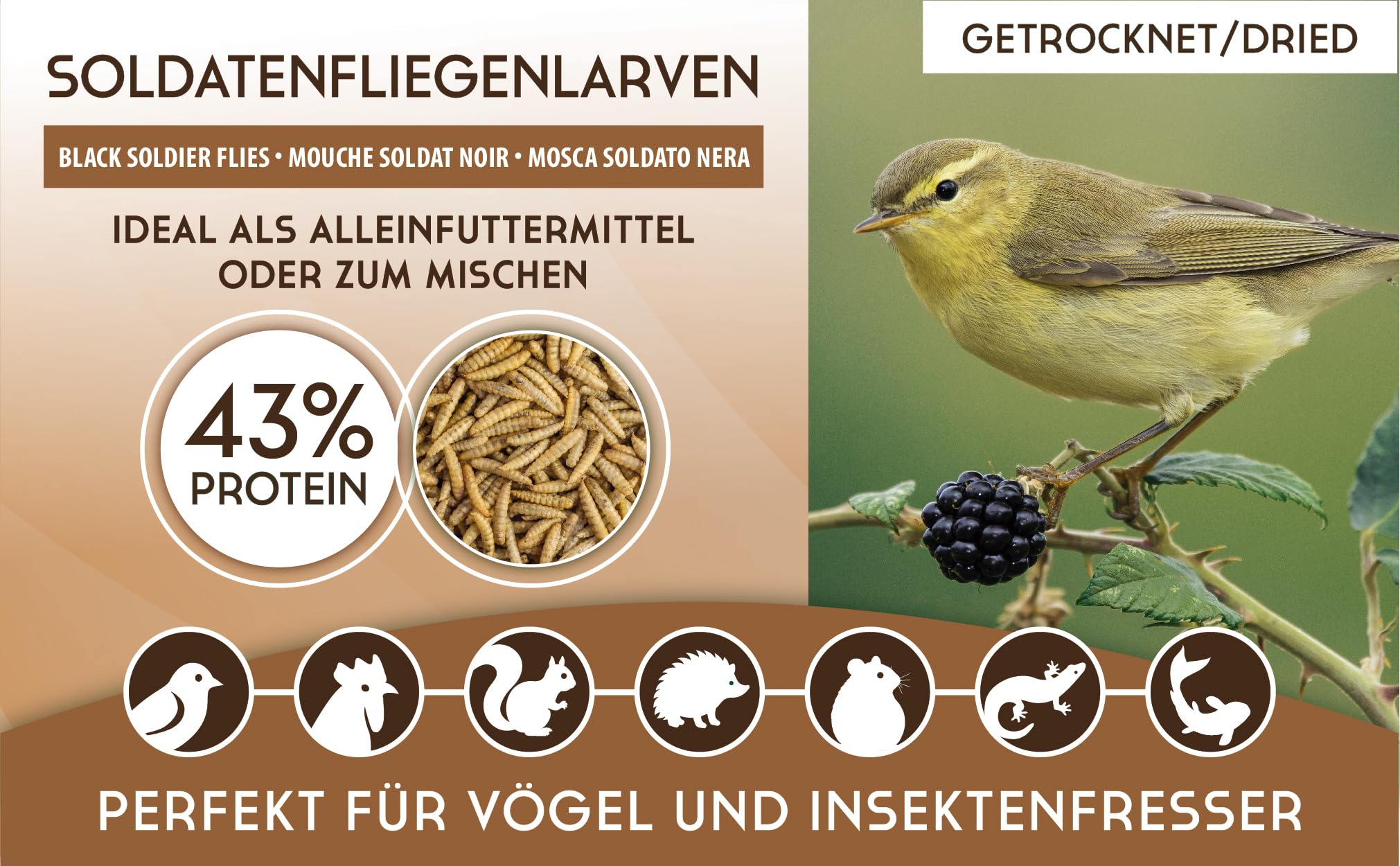 Koi-Herdecke getrocknete Soldatenfliegenlarven 5kg, Black Soldier Fly - wie Mehlwürmer, Reich an Proteinen und Nährstoffen, Naturfutter für Vögel, Fische, Nager und Reptilien