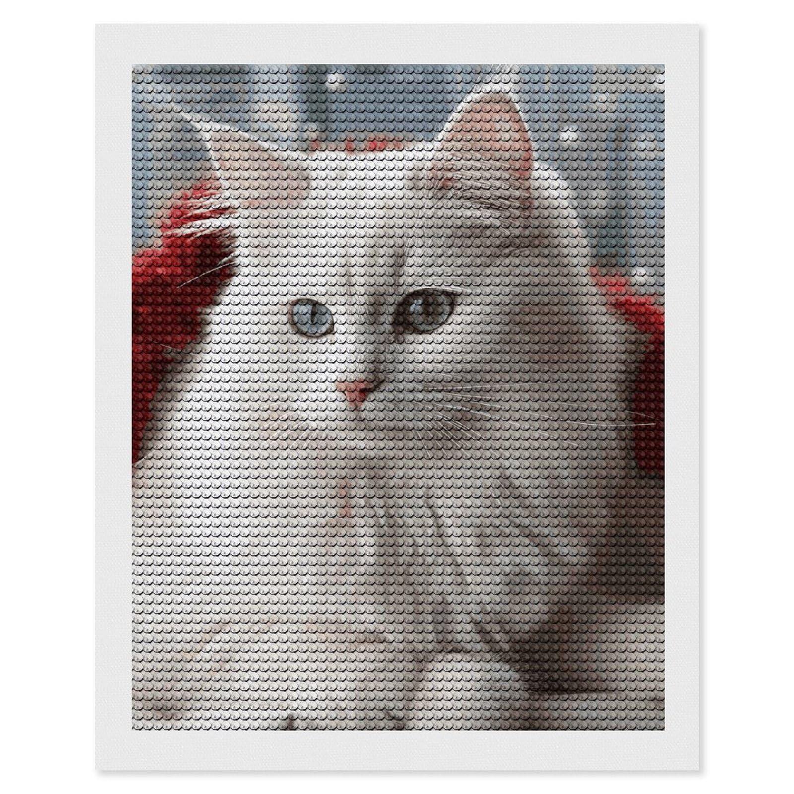 Amazon.com: QMNRTK Cute White Cat 5D Diamond Painting Kits for
