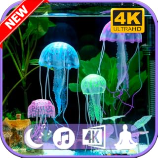 Soothing Jellyfish Aquarium Nature Sounds - Relaxing Music for Sleep, Study, Meditation For Fire Tv No Ads
