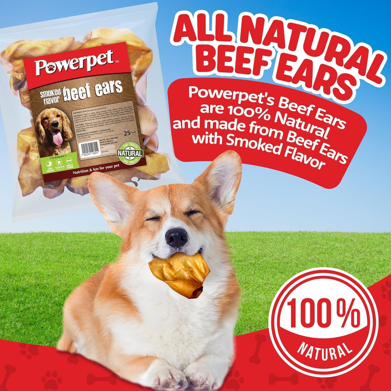 Powerpet Natural Cow Ears for Dogs - Premium Quality Treats, Low Fat, High Protein, Long-Lasting Chews - 100% Digestion - Healthy & Clean Teeth & Gums - All Breed Size - Smoked Beef Flavor, Pack of 25