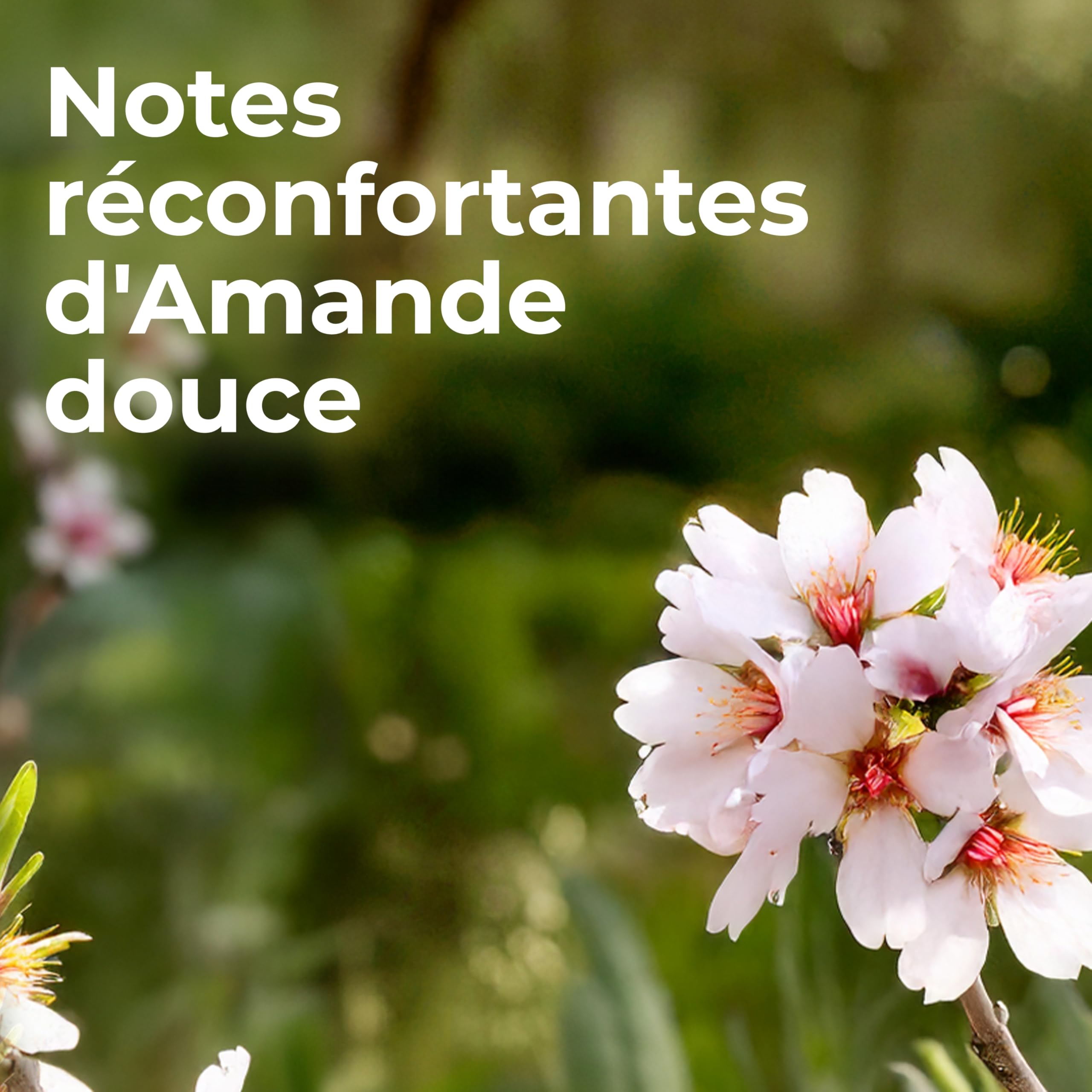 Le Tout Petit Marseillais Bébé – Huile de Douceur Amande Douce (118 mL) – Massage, bain, corps et cheveux – Respectueux des peaux sensibles dès la naissance