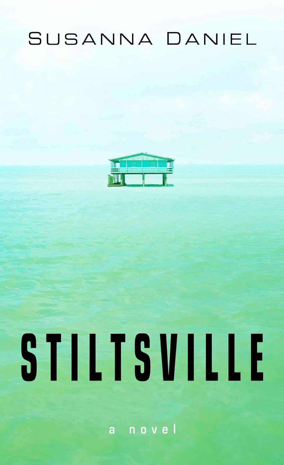 Stiltsville 9781410433848 Daniel, Susanna Books