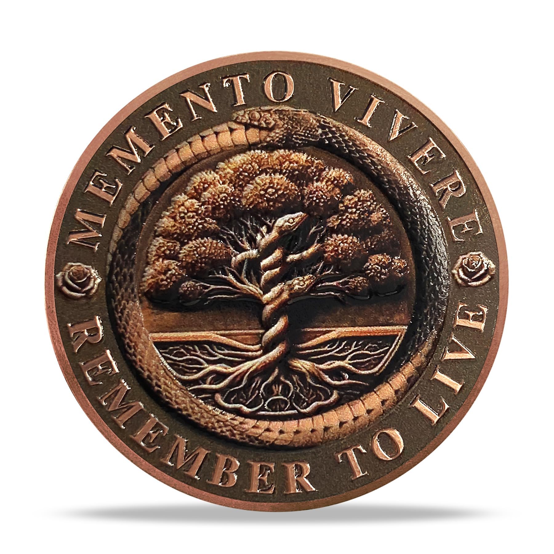 ACGZQY Skull Memento Mori Coin Tree of Life Memento Vivere Coin with Snake - Stoic EDC Challenge Coin for Daily Practice - Enjoy Today Motivational Reminder Token Stoicism Gifts - Image 4