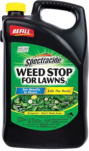 Spectracide Tope de maleza para césped de 1.33 galones, mata más de 200 tipos de maleza, repuesto de pulverizador AccuShot, paquete de 4