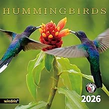 2026 Wall Calendar,Calendar 2026, November 2025 - December 2026, Wall Calendar Hummingbird, 12" x 24" Opened,Full Page Months Thick & Sturdy Paper for Calendar Organizing & Planning