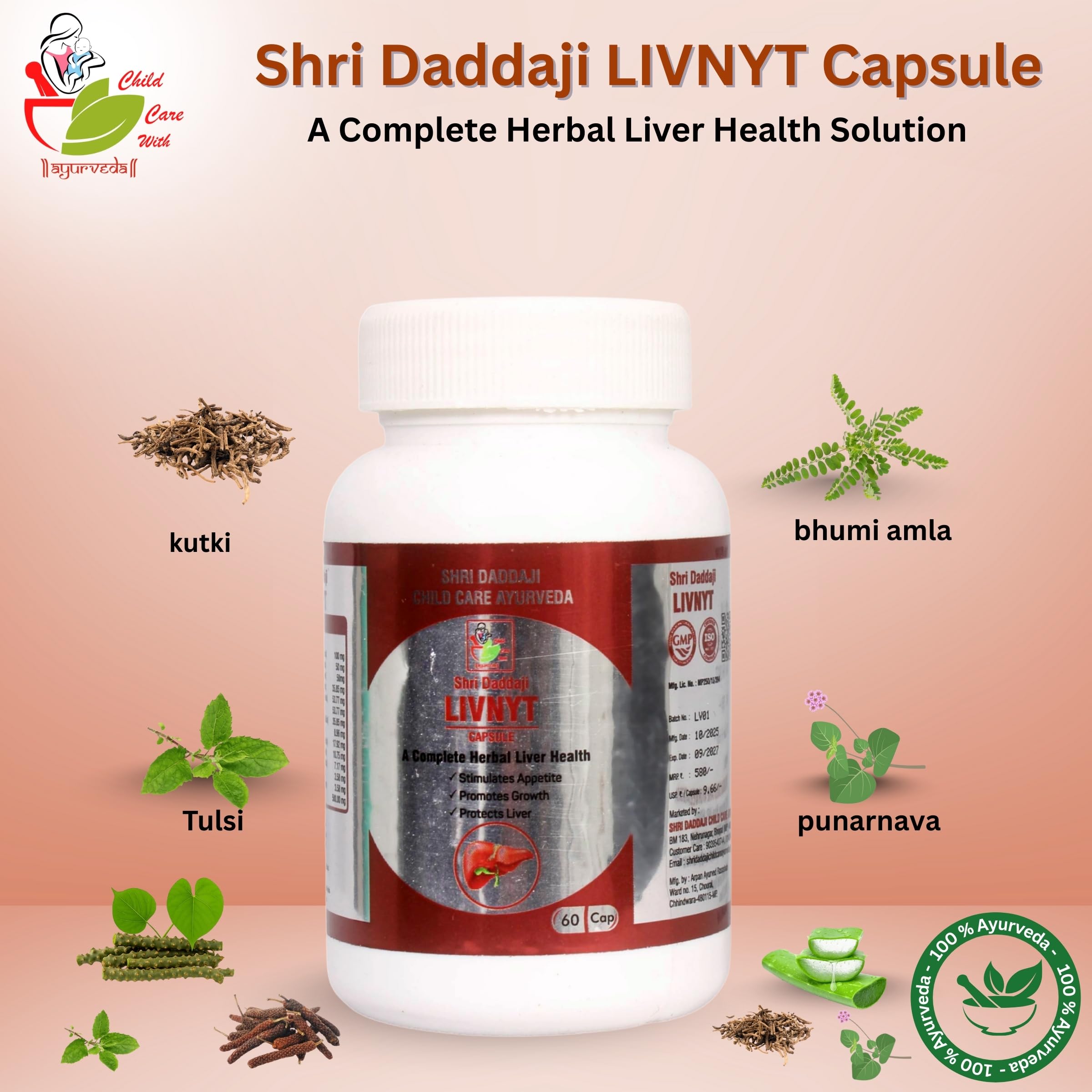 Shri Daddaji LIVNYT Capsule – Ayurvedic Liver Care Supplement | Supports Liver Health, Digestion & Appetite | 60 Capsules |Ayurvedic Formula | GMP Certified — Amazon image 2