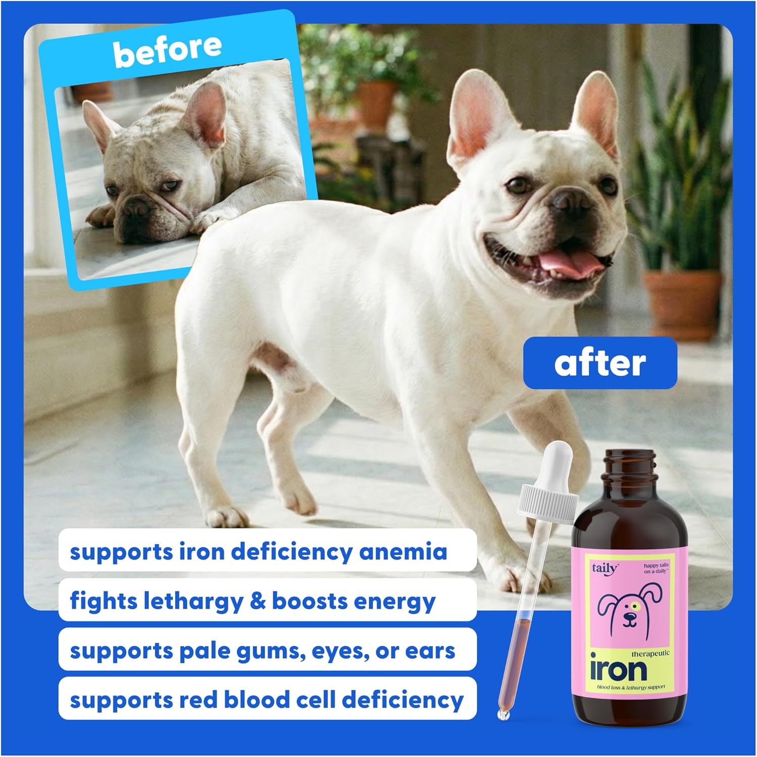 Taily AminoPets Liquid Iron Supplements for Dogs, Cats | Supports Anemia, Low Enery Levels and Lethargy | For Dogs, Puppies, Cats, and Kittens - Made in USA