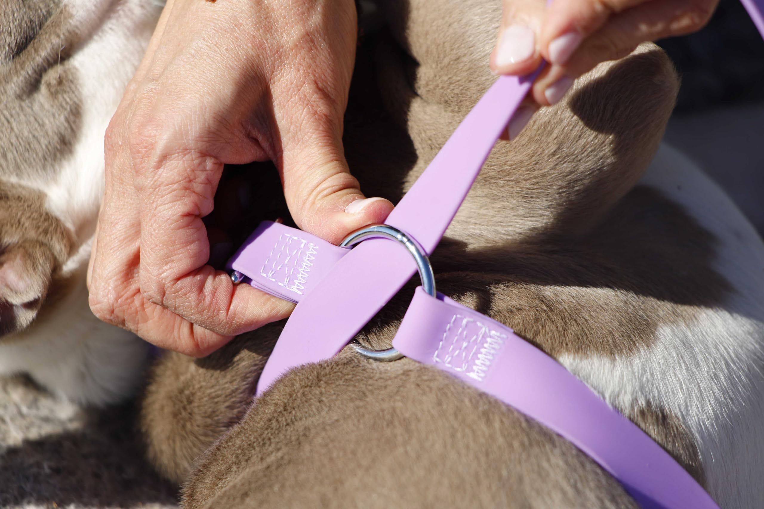 Pullnomore No-Pull Dog Leash and Matching Collar, Instantly Stop Your Dog from Pulling, Durable PVC Material, Multiple Colors and Sizes - image 4