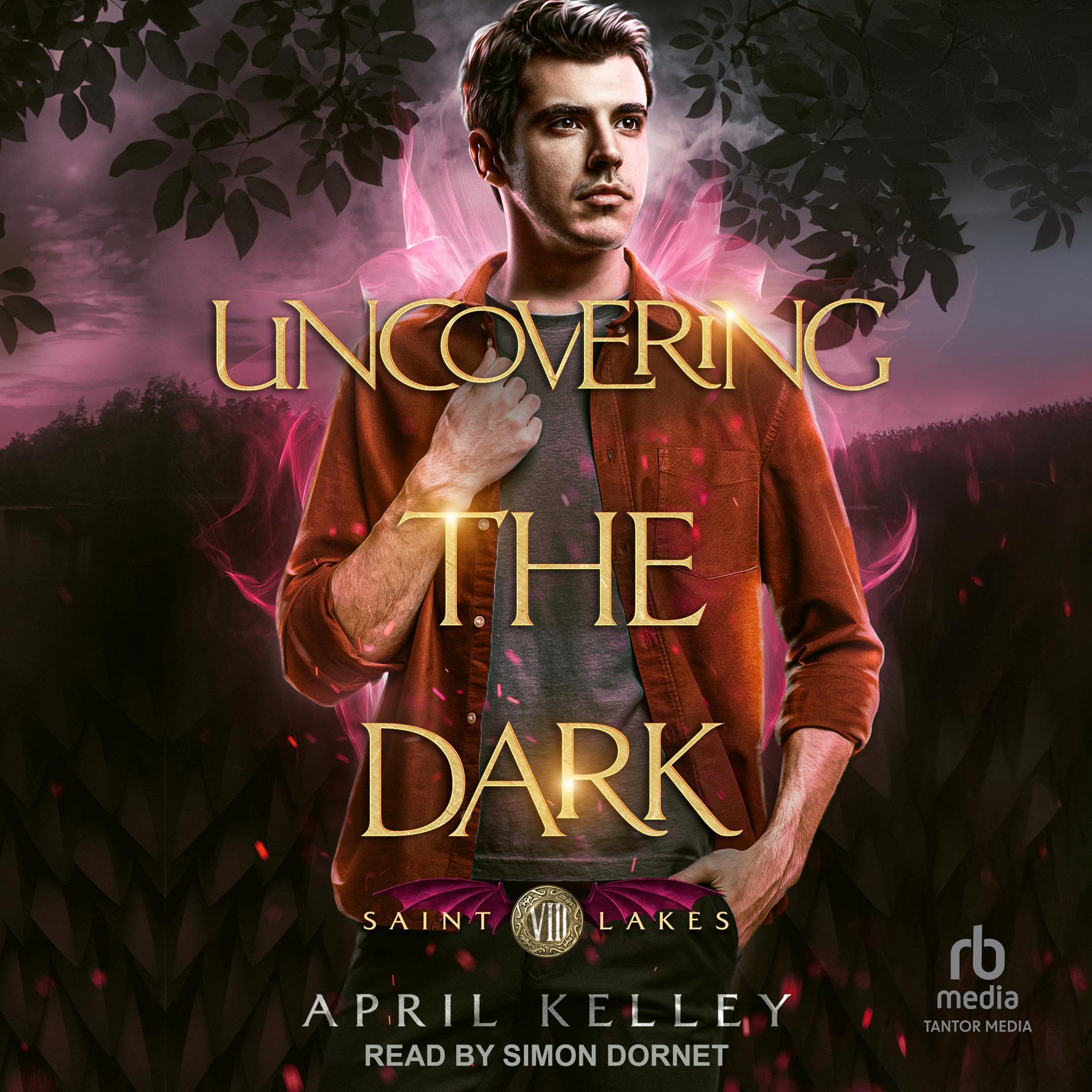 Cover art for Uncovering the Dark