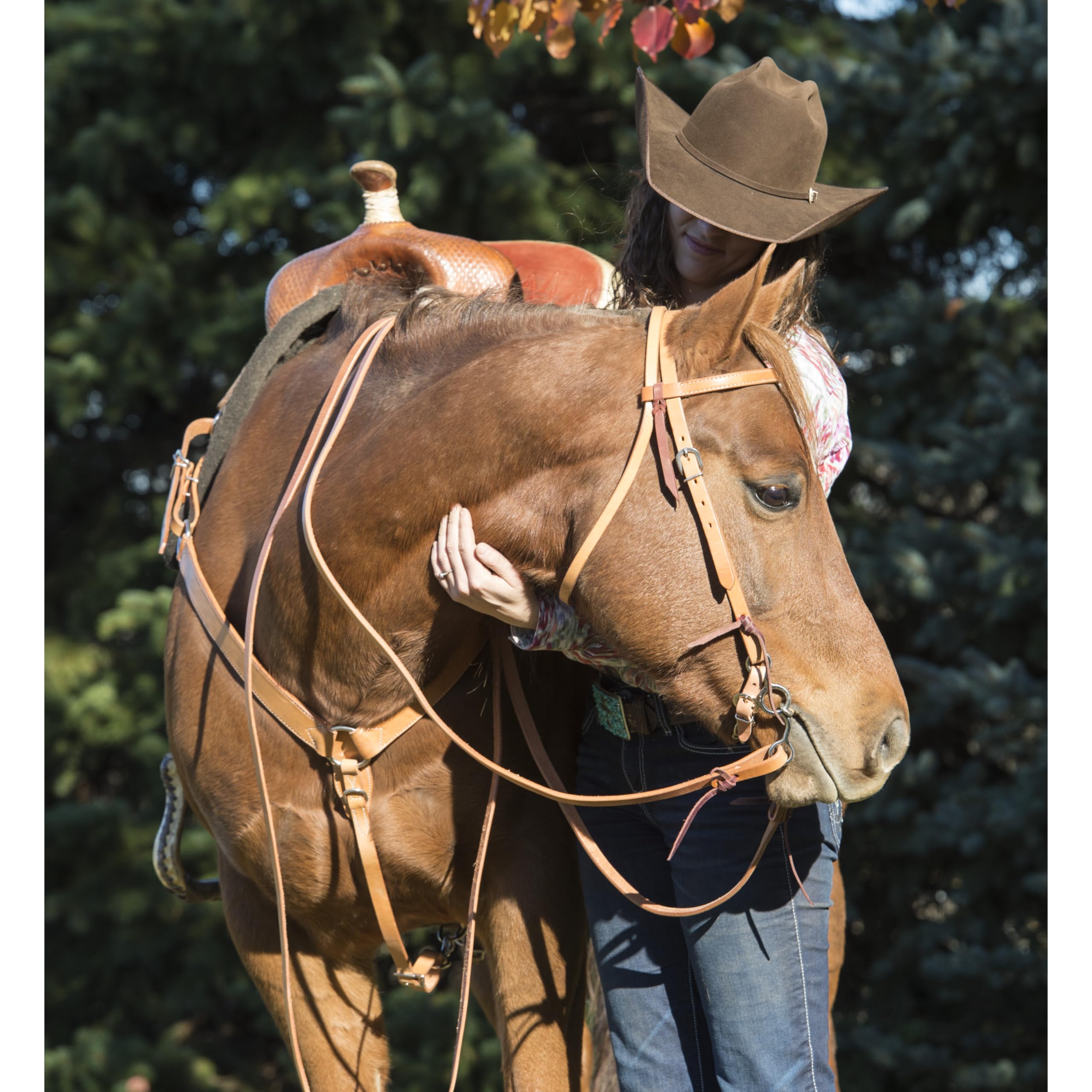 Turquesa Cruz 45 – 0151 – Piel frontalera para Caballo tamaño Headstall, Caballo, Aceite Ligero