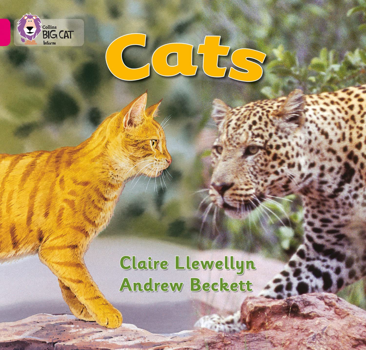 Cats Band 01b/Pink B by Claire Llewellyn (Paperback Book)