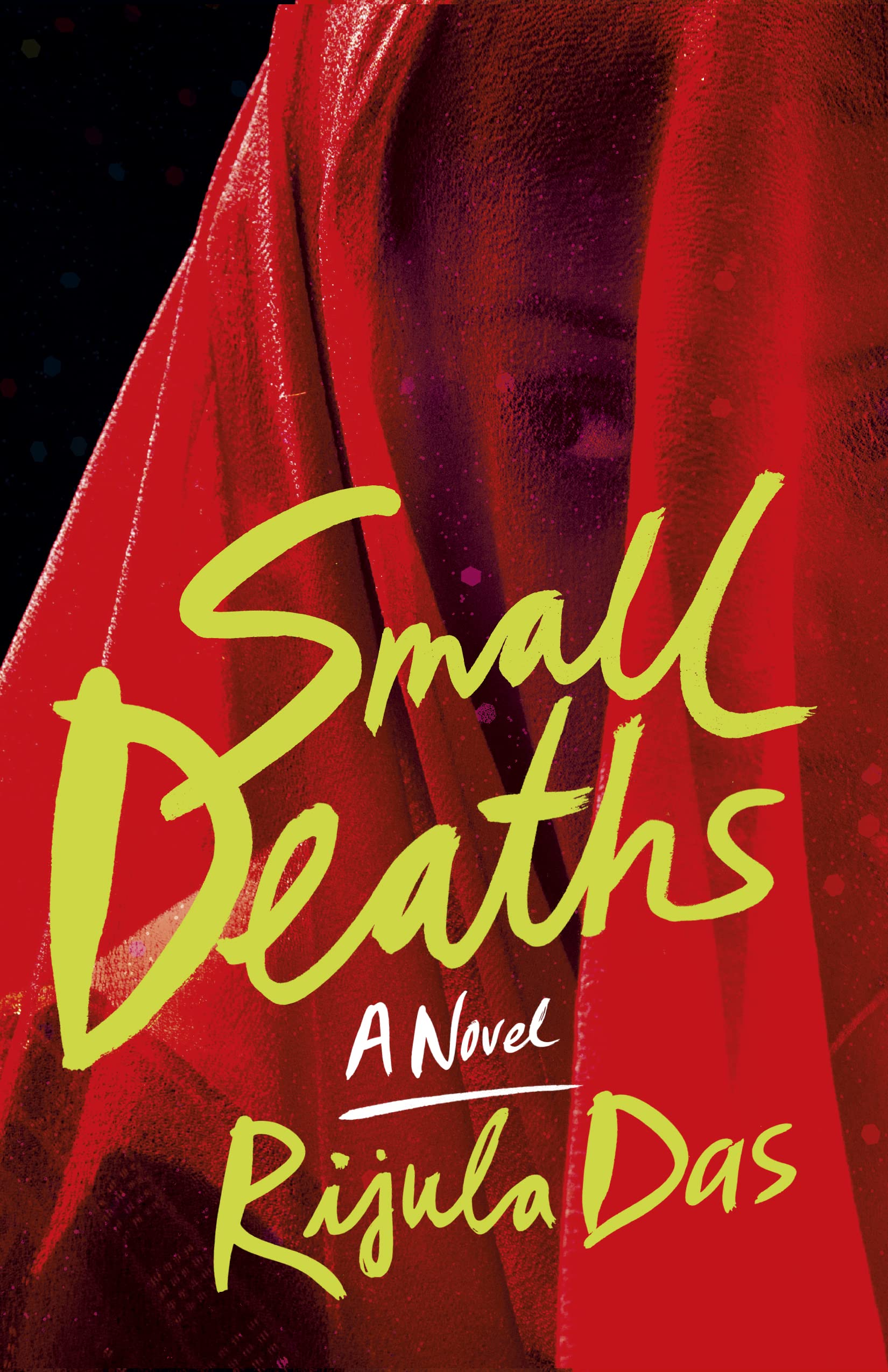 Buy SMALL DEATHS: A Novel — BookShops.in
