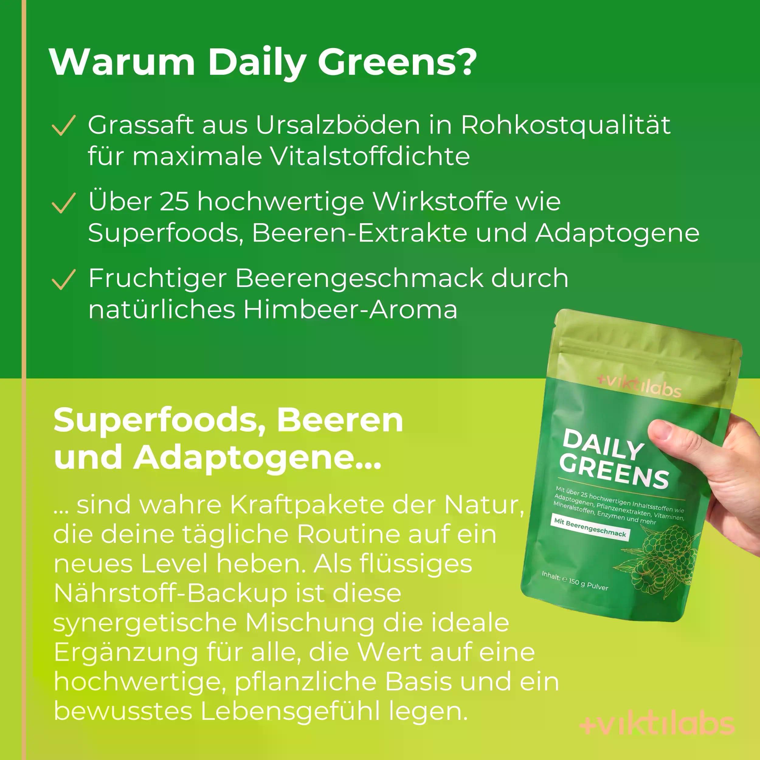 Daily Greens Beere - 25+ Wirkstoffe mit Vitamin C, Zink & B12 | 150 g Pulver für 30 Portionen - Greens, Beeren-Blend, Ballaststoffe, Adaptogene, Probiotika & Enzyme