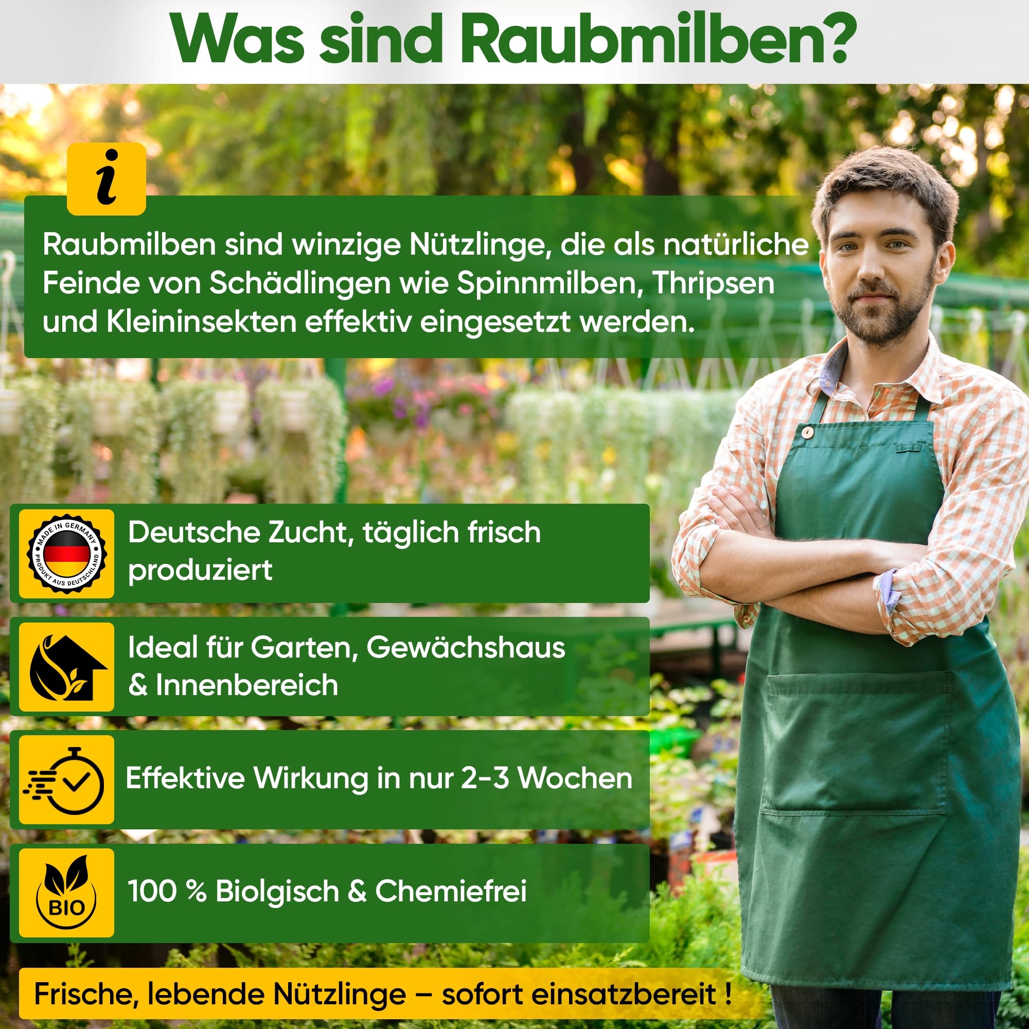 GREEN GUARDIA Power Mix di acari predatori contro tripidi e acari di ragno, 3 mix a 6 sacchetti, agente biologico per combattere efficacemente i tripidi, ecologico, senza sostanze chimiche, facile da
