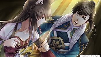 十三支演義 偃月三国伝1・2 for Nintendo Switch 特装版 81DopxOFClL._UF1000,1000_QL80_.jpg