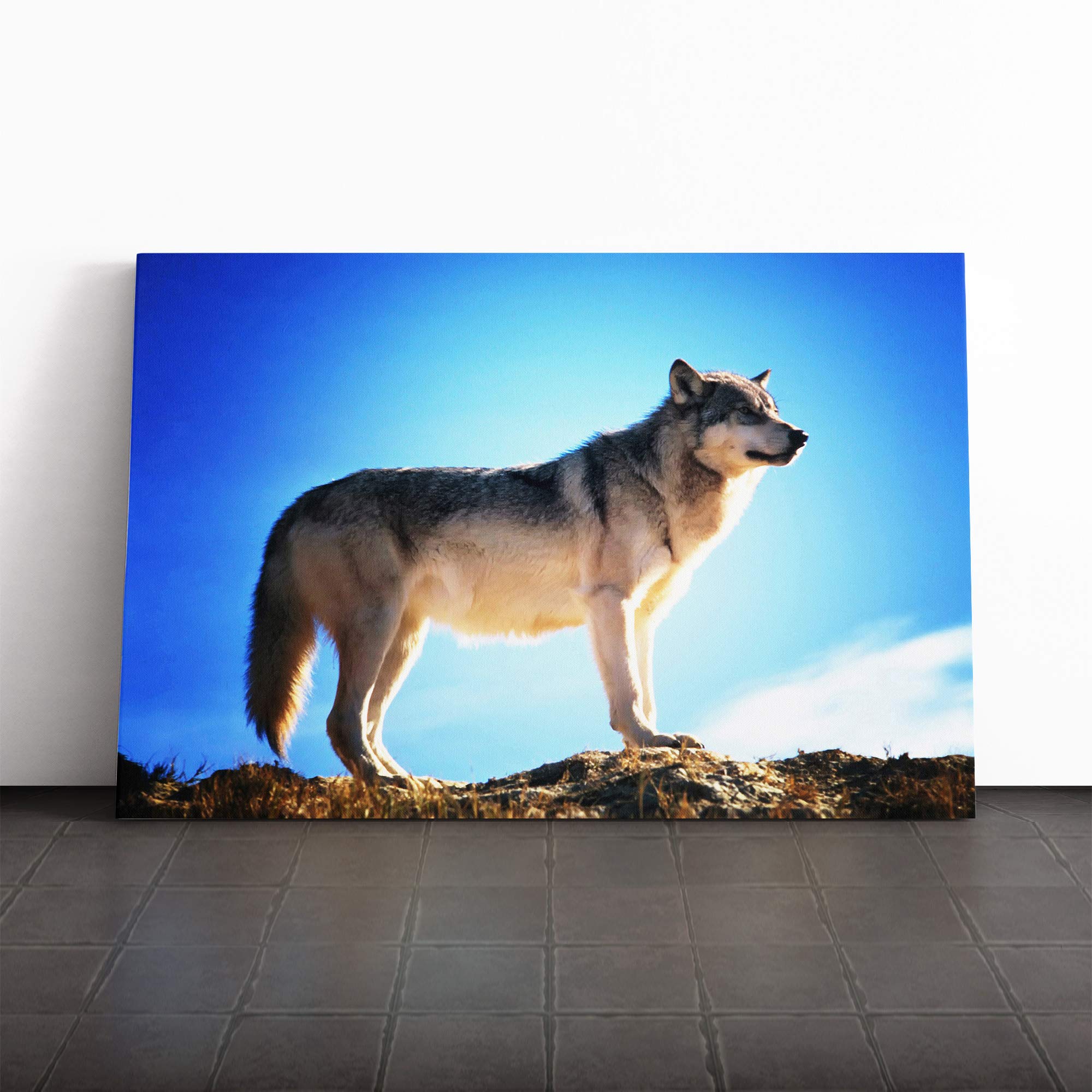 Wolf Canvas Print | Gallery Wrapped 30mm Frame Wall Art | 30x20 inches | Ready to Hang | Modern Animals Picture | Living Room Bedroom Lounge Office