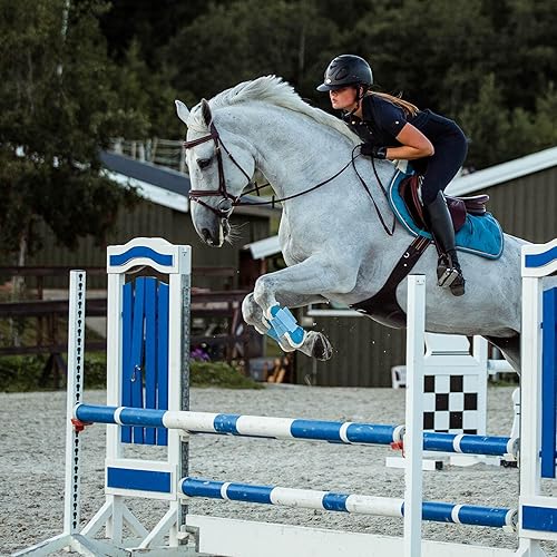 Miniatura 5 de HORZE Sion - Brida acolchada de piel para caballo, con banda nasal y riendas de goma, color negro