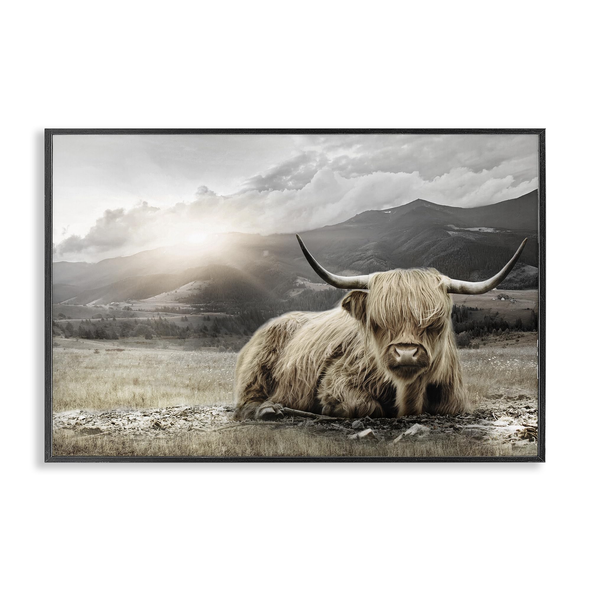 Stupell Industries Midnight Black (Textured) 'Cattle Resting In Morning Sun'| Framed Giclee Art