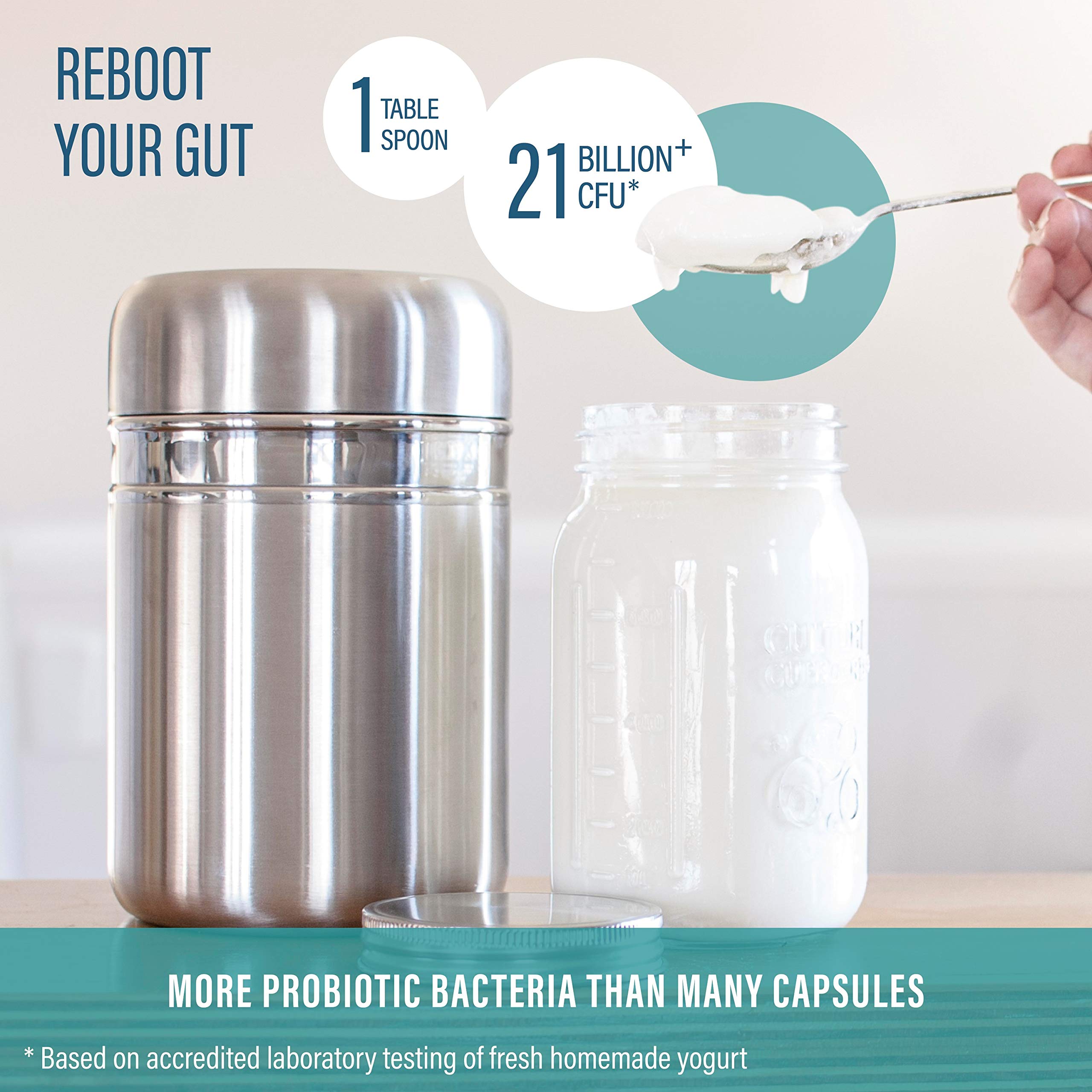 Stainless Steel Yoghurt Maker with 1 Quart Glass Jar and Complete