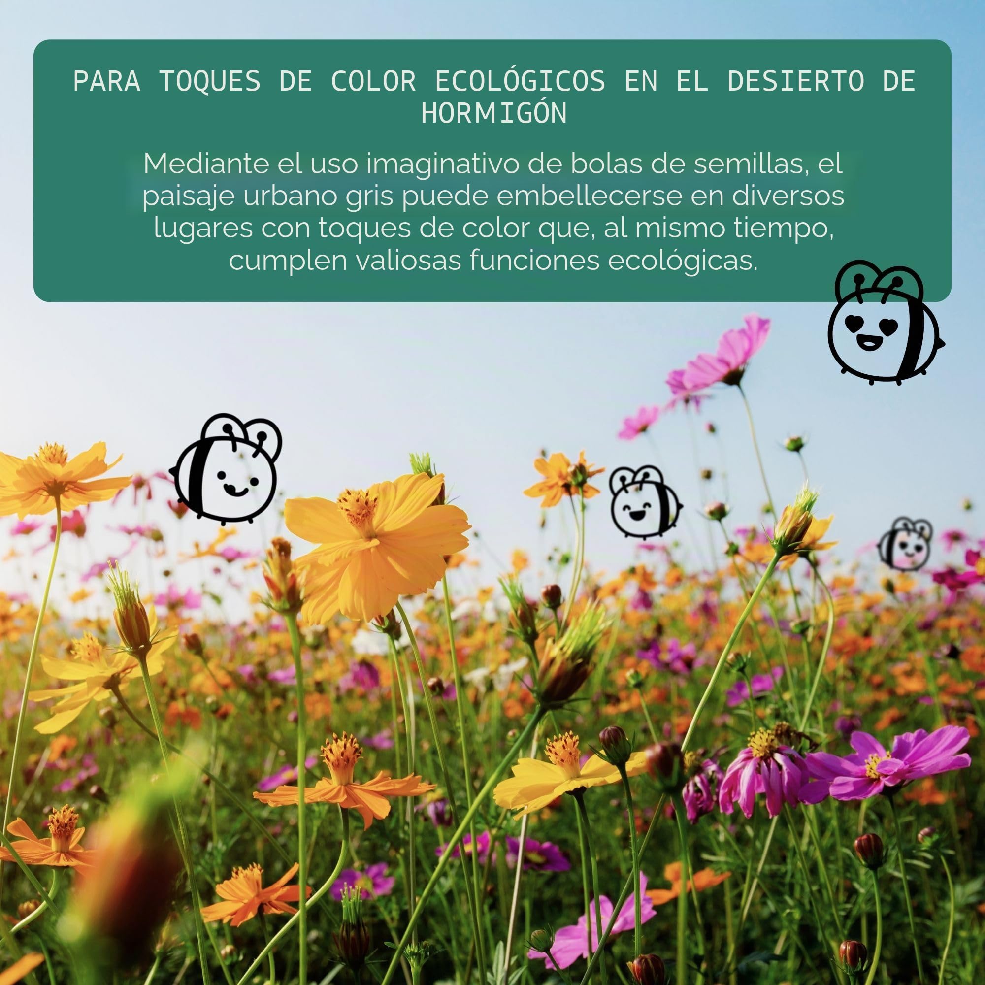 Regalos para invitados para bodas Semillas de flores Bombas de semillas - Regalo especial de boda para invitados como regalo - Haz crecer nuestro amor Juego completo (juego de 50)