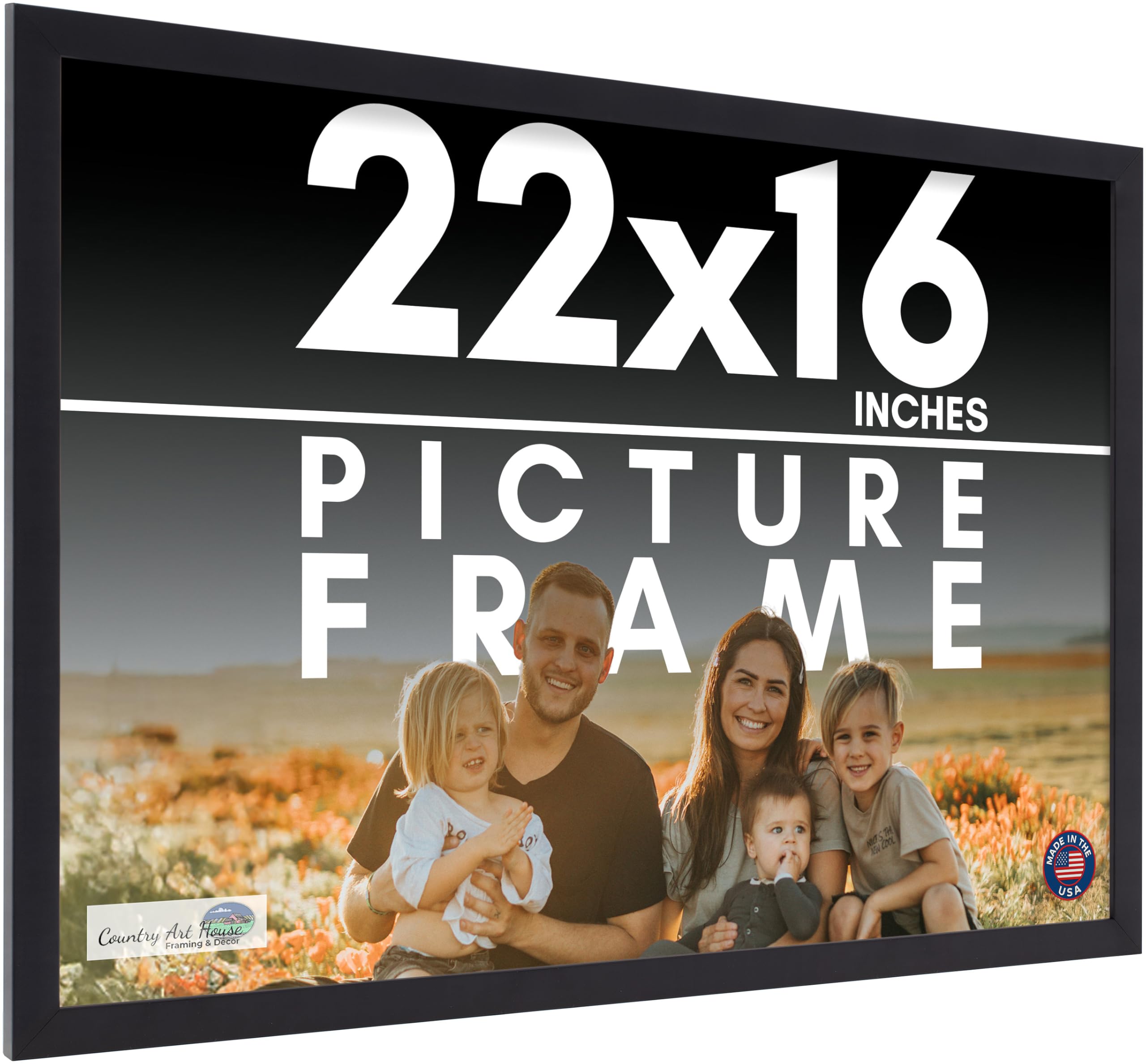 Amazon.com - 22x16 Frame Black Picture Frame - Complete Modern
