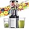 AMZCHEF Juicer Machine, Cold Press Juicer - 5.4" Large Feed Chute for Whole Fruits & Vegetables, Stainless Steel Slow Mastica