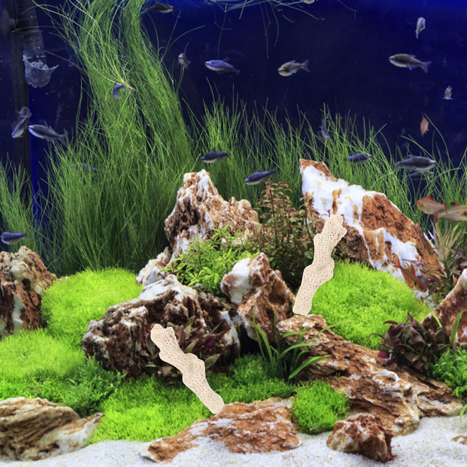 Alipis Medio Filtrante de Coral Triturado: Biomedio Reutilizable para Acuarios con Bolsa de Malla - Estabilizador de Ph para Acuarios de Agua Dulce, Filtración de Estanques Y Decoración