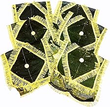 CHARVEE COLLECTIONS Black Chunni with Golden Lace for Mata ji | MATA Ki Chunari/Navratri Chunni for Durga Kaali Maa - Pack of 6