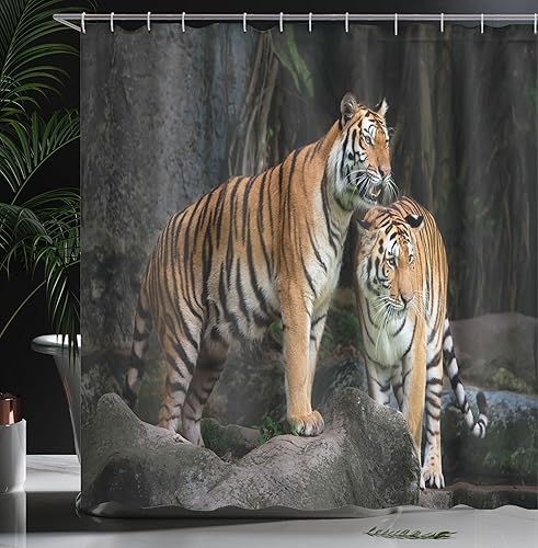 Miniatura 3 de Ambesonne Cortina de ducha de animales, pareja de tigre en la selva en rocas grandes, impresión de imagen de gatos salvajes en la naturaleza, juego