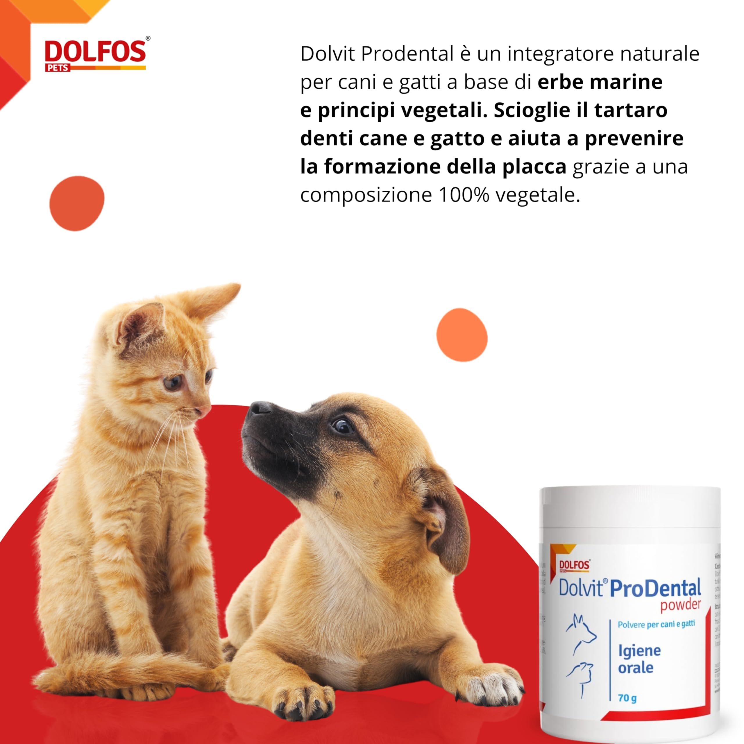 Dolvit Prodental Integratore per Igiene Orale Cane Gatto - Pulizia Bocca Cani e Gatti dai Batteri - Rimuove Placca, Tartaro e Alitosi Rendendo Fresco l’Alito - Confezione da 70 gr