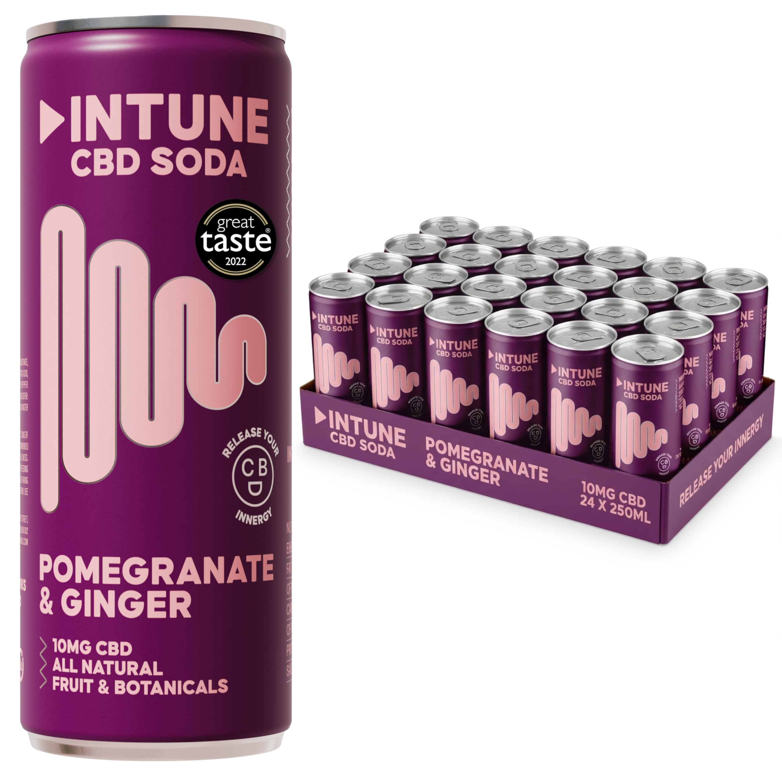 INTUNE Pomegranate & Ginger Sparkling CBD Drink | Natural & Vegan | Low Calorie Drink | CBD Infused Soft Drink | CBD can | 24 x 250ml Cans