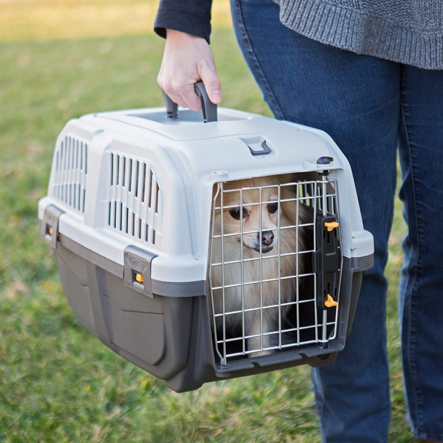 MidWest Homes for Pets Skudo Plastic Carrier, 19-Inch Ideal for "Toy" Dogs with an Adult Weight up to 6 Pounds