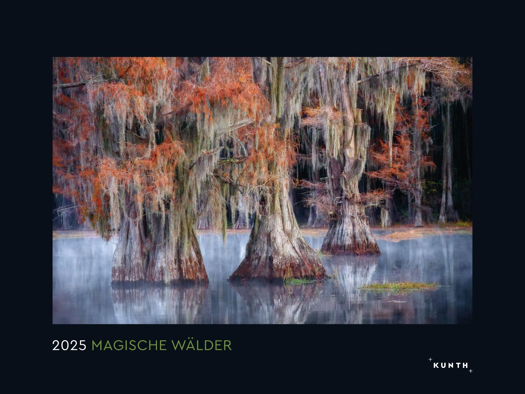 Magic Forests Wall Calendar 2025