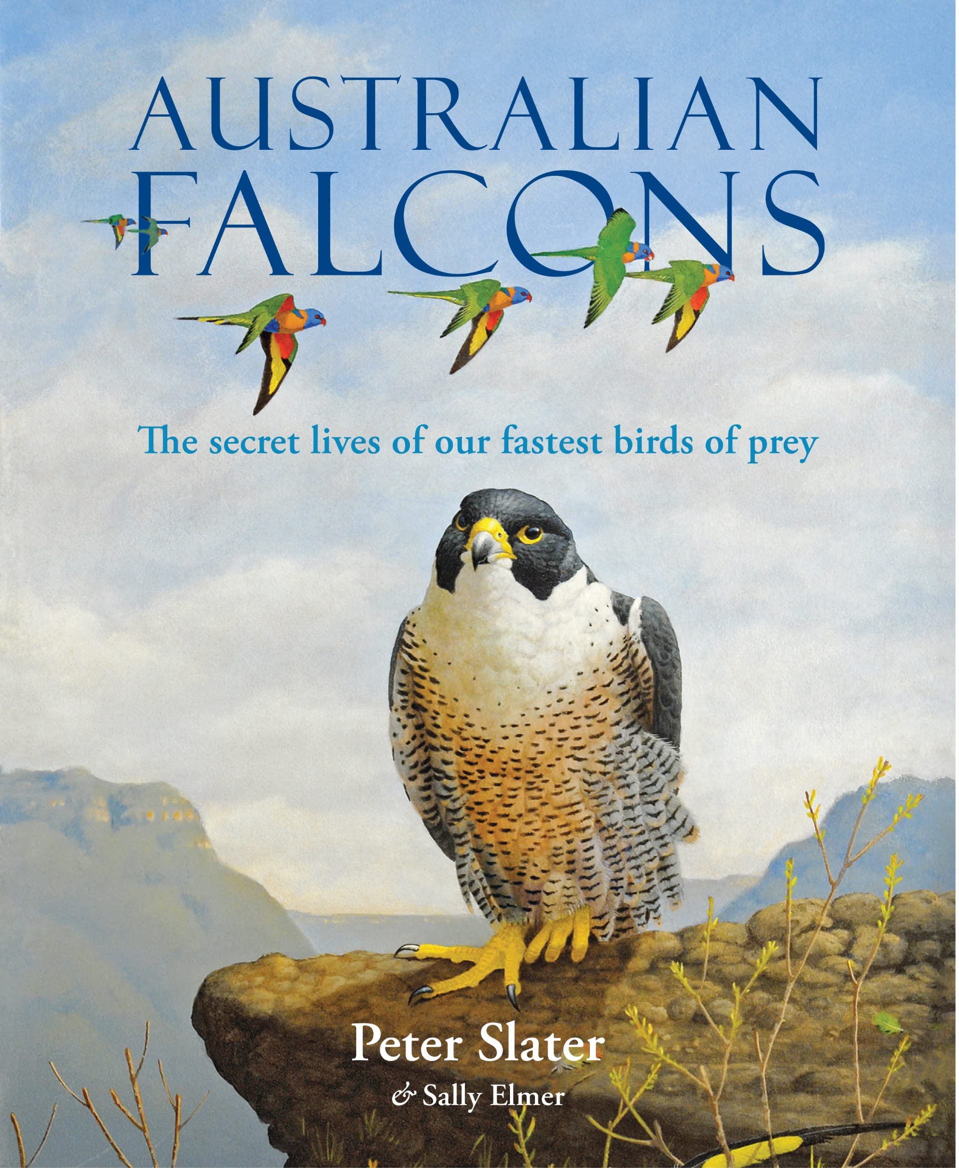 Australian Falcons : The secret lives of our fastest birds of prey