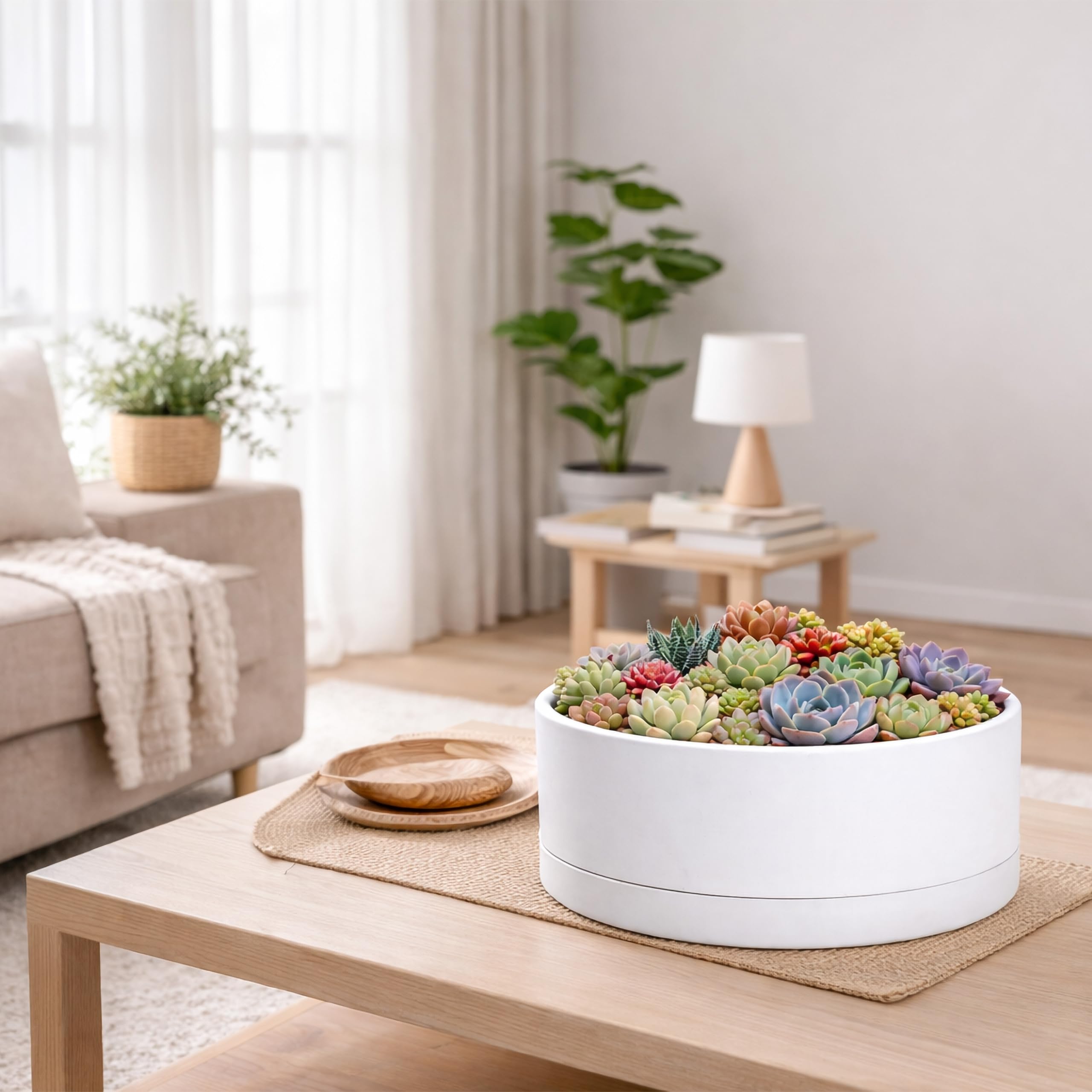 Amazon.co.jp: D'vine Dev 10インチ プラスチック 浅型プランター 大型