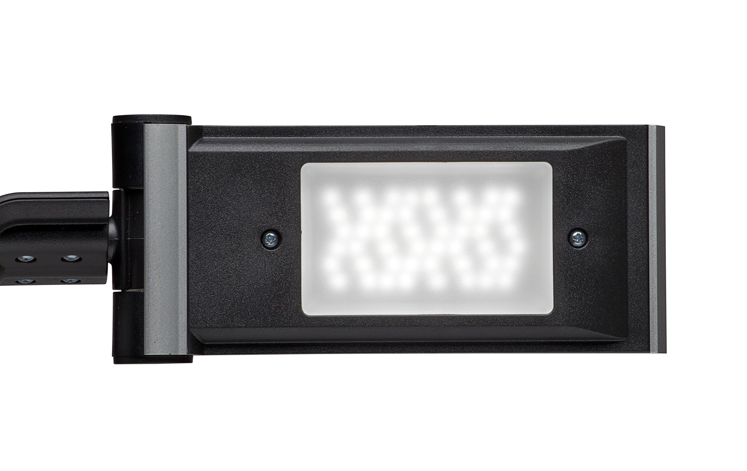 Buy Maul MAULstudy 8230502 Clip lamp E-27 White Electronic