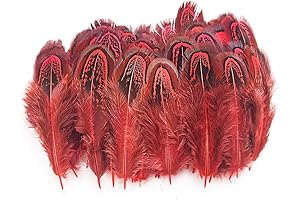 Stunning Red Peacock Feathers for Vibrant Creations