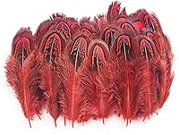 Vista 11 de 50 piezas de plumas de plumaje de faisán natural de 2-3 pulgadas, plumas de plumaje para costura, manualidades, ropa, accesorios decorativos - azul