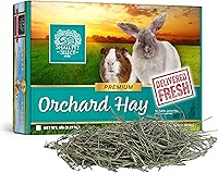 Vista 10 de Small Pet Select Orchard Grass Hay - Alimento para mascotas para conejos, cobayas, chinchillas y otros animales pequeños, heno natural premium