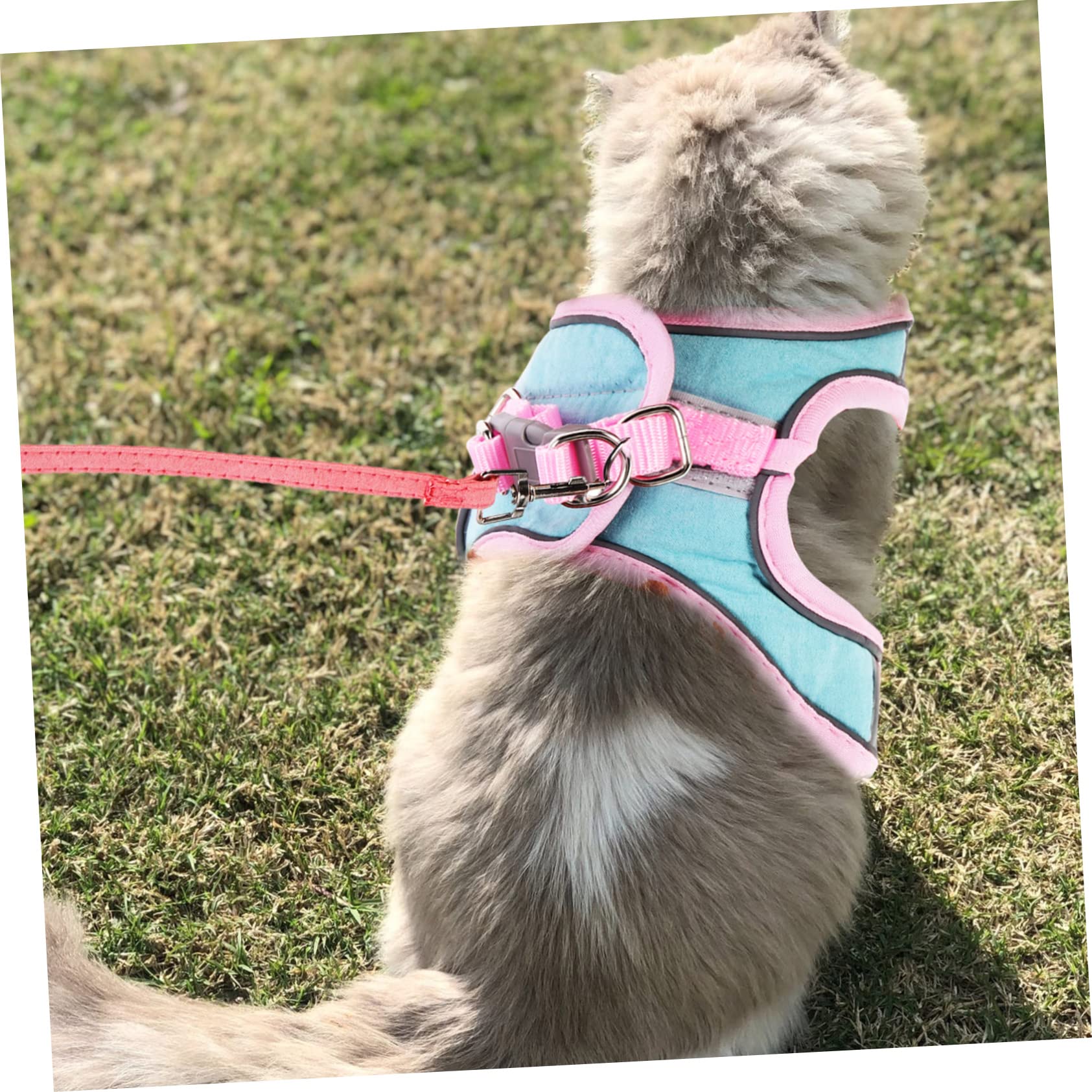 Yardwe 4ensembles pour Chat avec Laisse Gilet Réfléchissant pour Extérieur pour Et Chiens