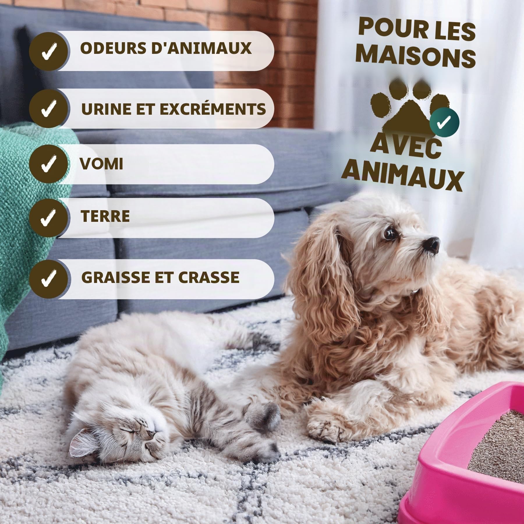 Dirtbusters - Solution de machine multi-sols avec désodorisant - 5 litres - Pour toutes les machines de nettoyage de sols et les machines à moquette
