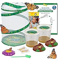 Vista 10 de Kit de jardín de mariposas Insect Lore con orugas vivas – Cría 10 mariposas Painted Lady - Actividad de aprendizaje STEM, hábitat con diario