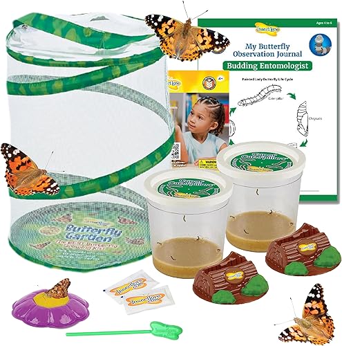 Insect Lore Jardín de mariposas con 10 orugas vivas para bebés, hábitat, alimentador, soportes para tapa Chrys-A, diario de actividades STEM -