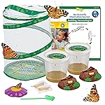 Insect Lore Butterfly Garden Kit - 10 Live Caterpillars, Habitat, STEM Journal, 2 Chrys-a-lid Holding Logs & Feeder - Grow & Release Painted Lady Butterflies - Educational Science Toy