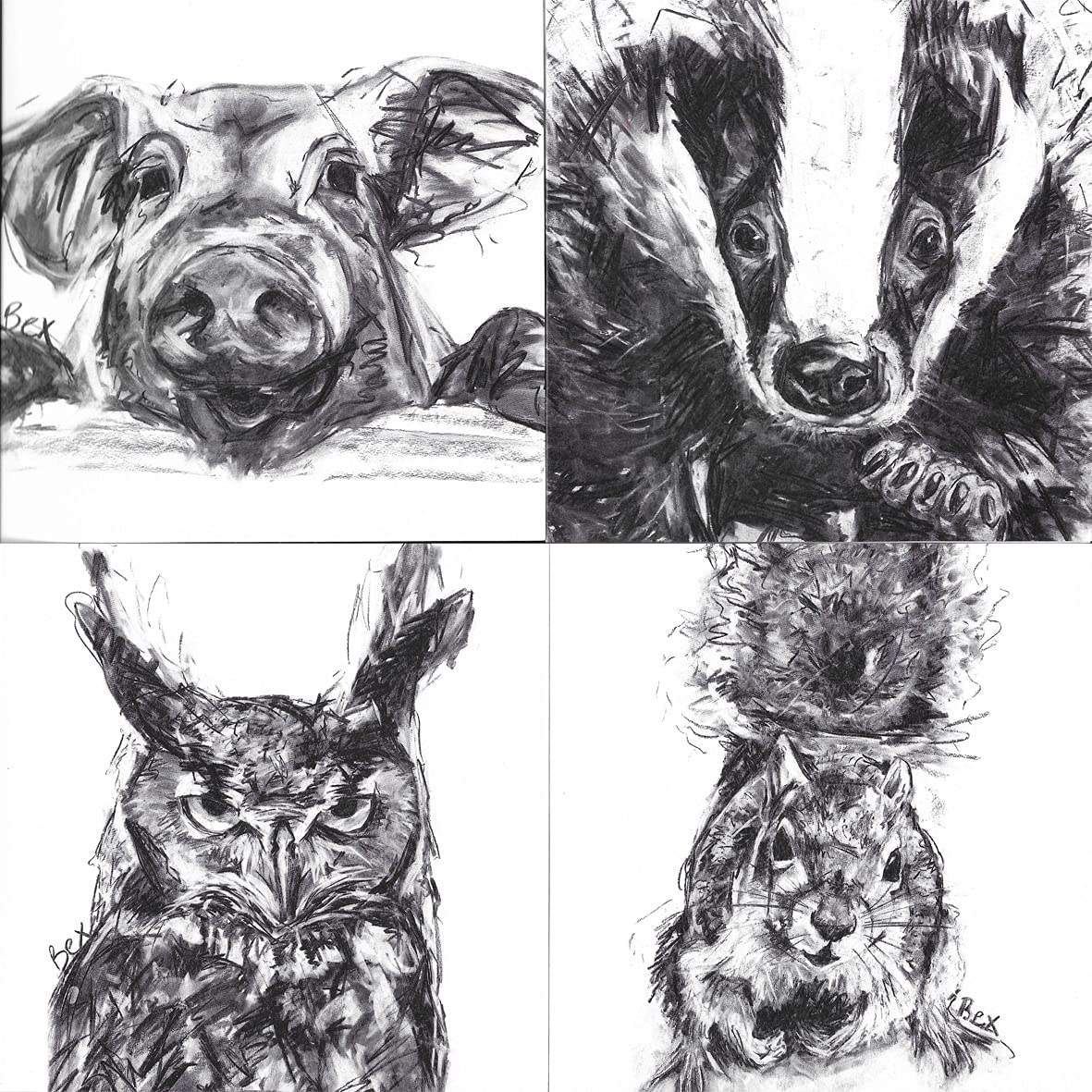 8 Art Cards by Wraptious, Blank Greeting Or Birthday Cards Multipack