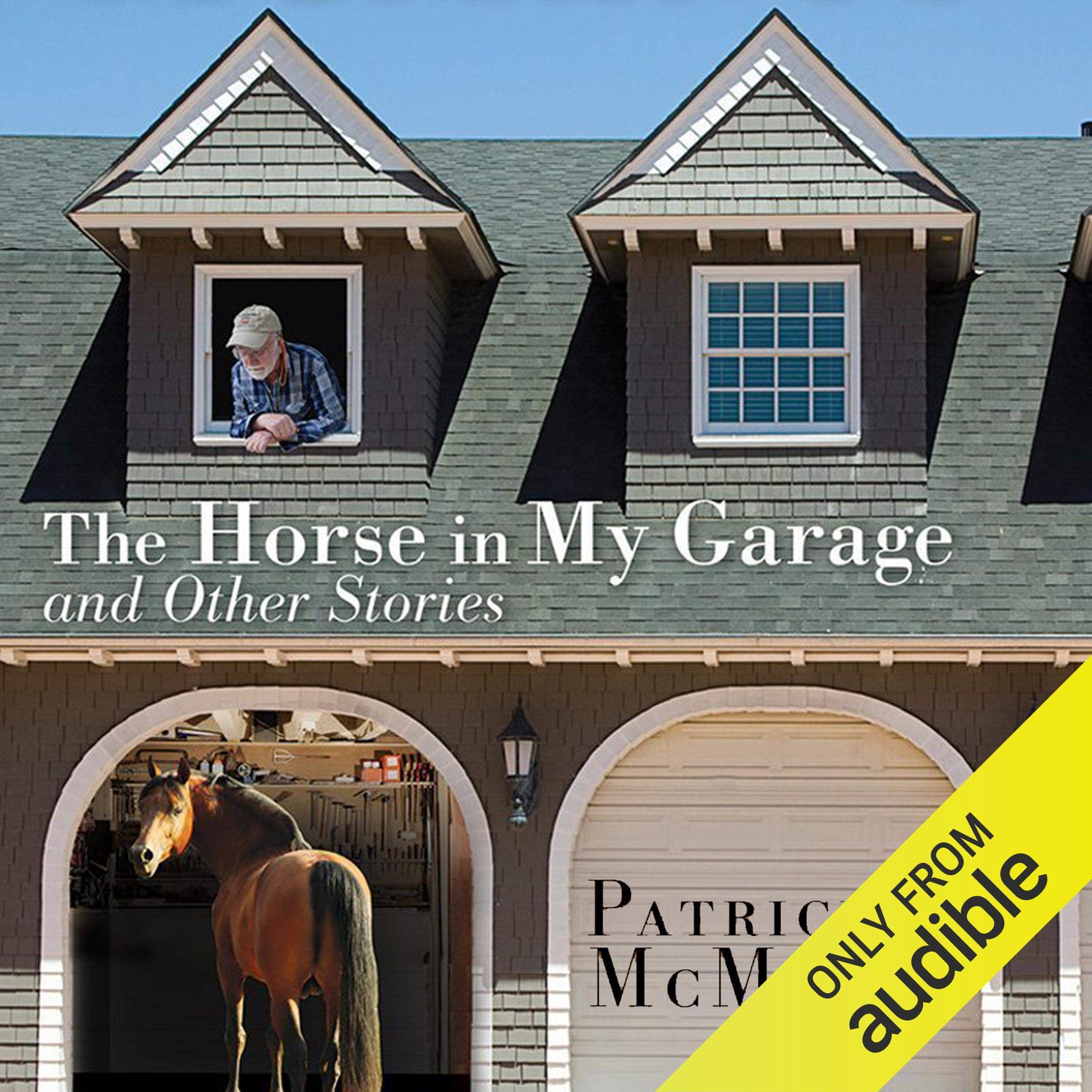 The Horse in My Garage and Other Stories