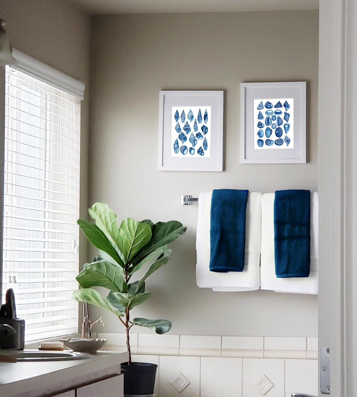 Gnosis Picture Archive Conch Shells Scientific Illustrations, Set of 2 Unframed, Blue and White Wall Art Prints, Beach Coastal Decor, 8.5x11, Blue/white