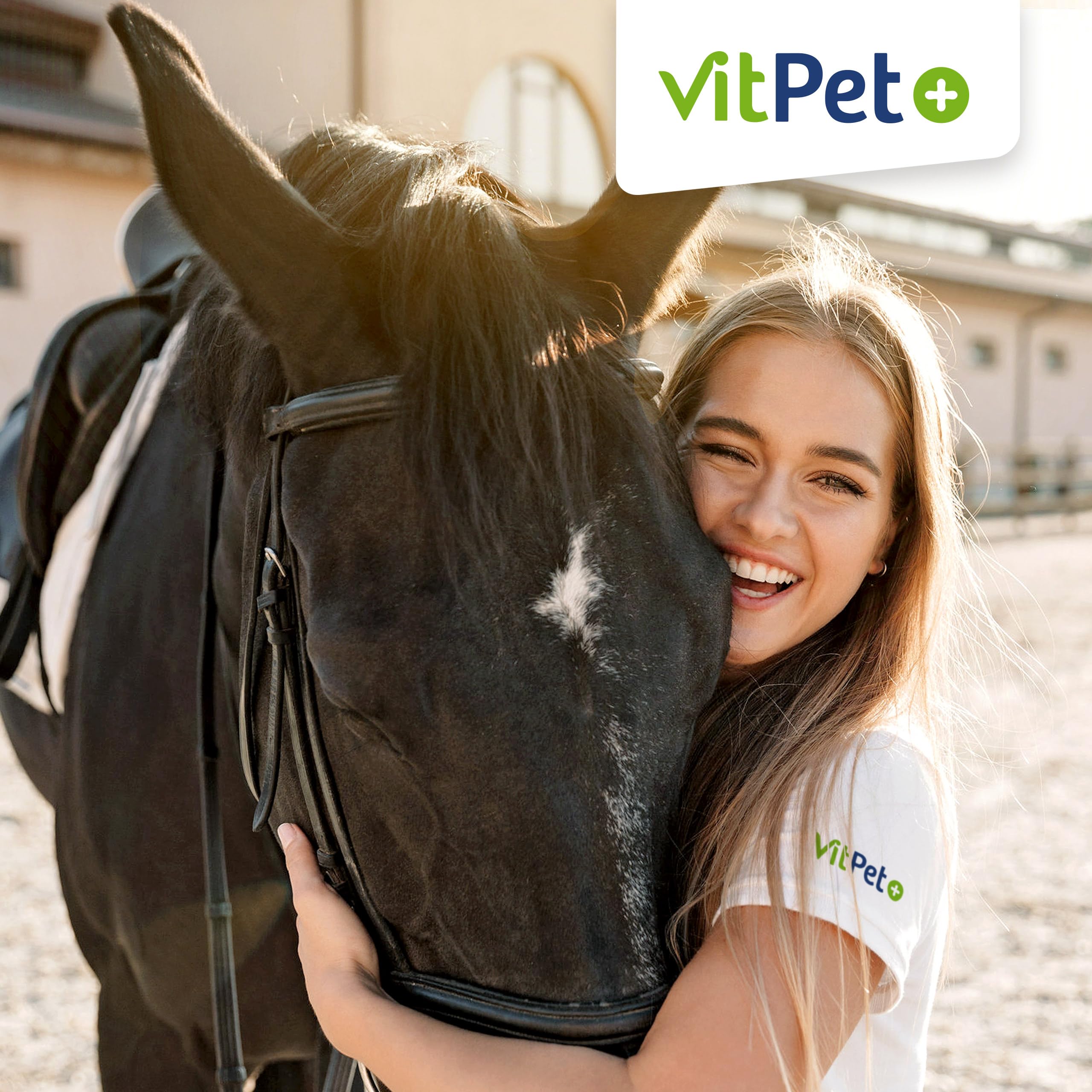 PneumoVit – Caballo para la tos – 1,2 kg – Con eucaliptol natural – Apoyo respiratorio e inmunológico – Facilita la expectoración – Expectorante y calmante